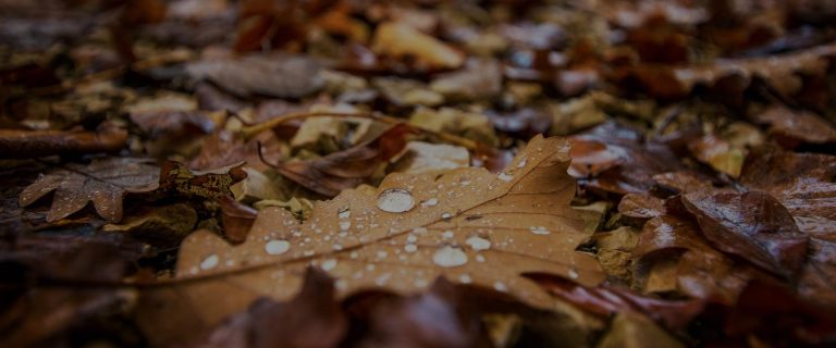 Romantic Trips in Athlone